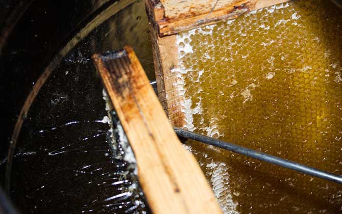 假蜂蜜是怎么做出來的? 假蜂蜜