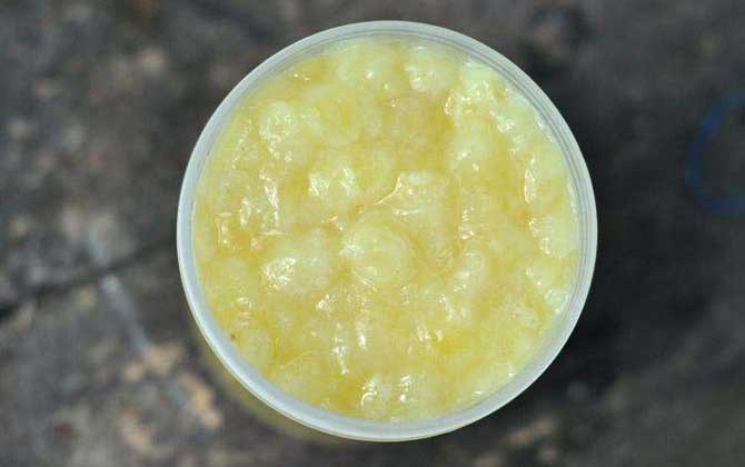 蜂王漿的作用與功效及食用方法 蜂王漿
