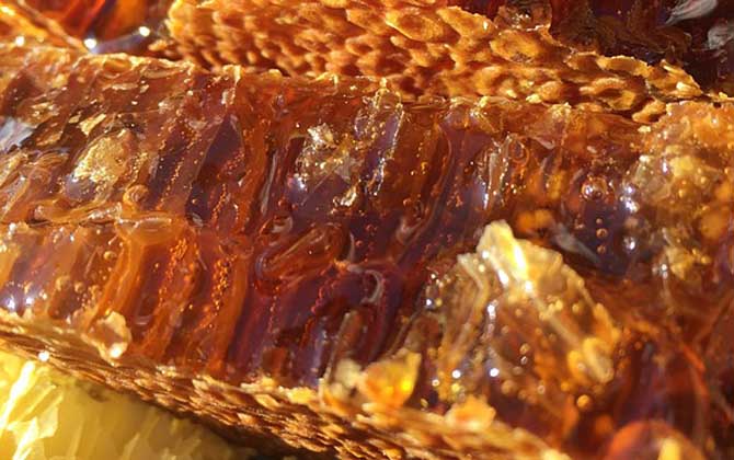 蜂箱取出的未必是真蜂蜜,小心這3種“蜜”,后面2種純粹是假的! 蜂蜜