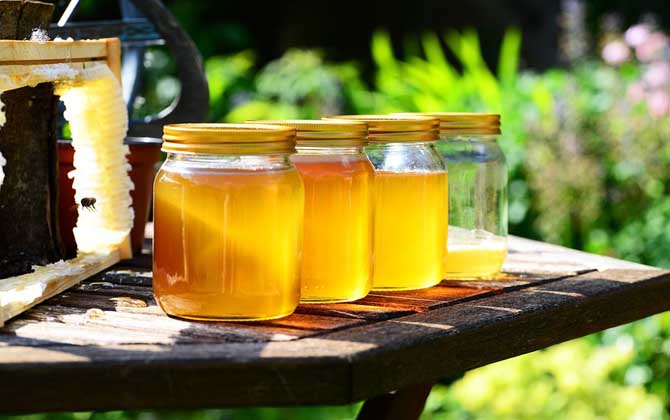 經(jīng)常吃蜂蜜有什么好處?從營養(yǎng)成分上看,蜂蜜的確是天然營養(yǎng)品! 蜂蜜