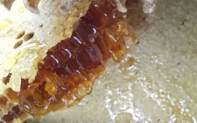 蜂蜜價(jià)格多少錢(qián)一斤?因蜂蜜種類(lèi)的不同,蜂蜜價(jià)格也千差萬(wàn)別! 土蜂蜜