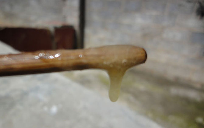 蜂蜜價(jià)格多少錢(qián)一斤?因蜂蜜種類(lèi)的不同,蜂蜜價(jià)格也千差萬(wàn)別! 假蜂蜜