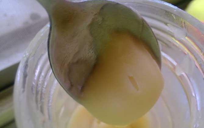 經常喝蜂蜜好嗎?喝蜂蜜的這8大好處,只有常喝蜂蜜的人才知道! 蜂蜜