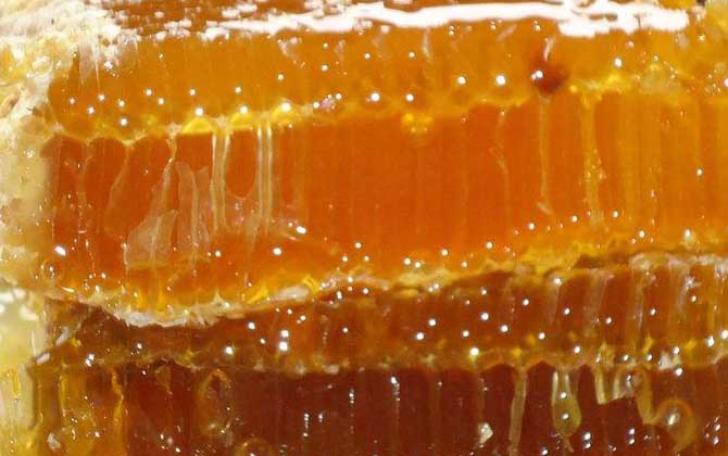 蜂巢蜜怎么吃最好?吃對了好處不用多說,吃錯了反而弊大于利! 蜂巢蜜