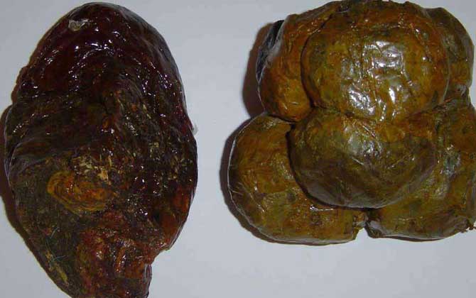 蜂膠怎么吃效果好?吃對(duì)了好處不用多說,吃錯(cuò)了反而對(duì)健康不利! 蜂膠