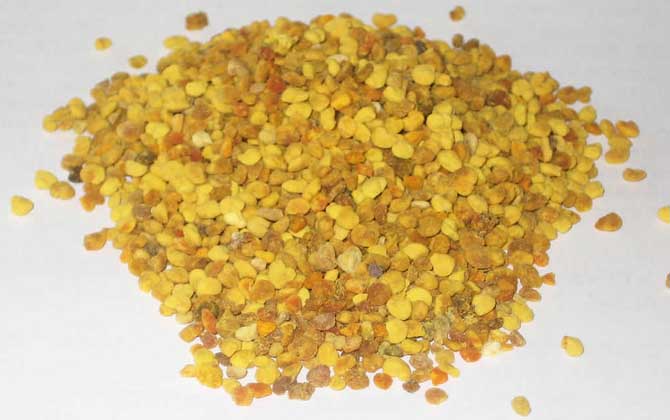 蜂花粉的作用與功效有哪些?經常吃些蜂花粉,這7個好處跑不了! 蜂花粉