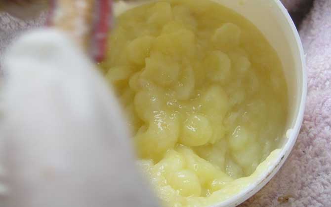 蜂王漿的作用與功效有哪些?經常吃些蜂王漿,這5個好處跑不了! 蜂王漿