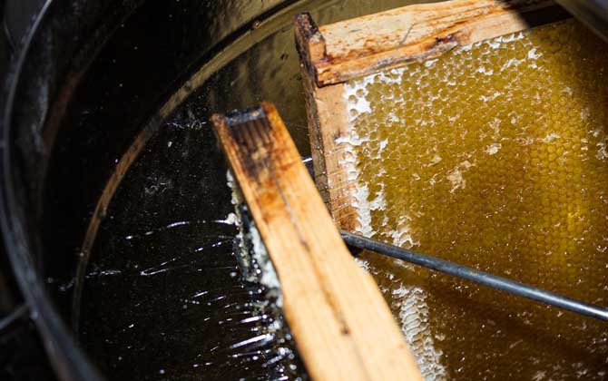 百花蜜的功效與作用有哪些?不但能增強(qiáng)體質(zhì),而且還能美容養(yǎng)顏! 百花蜜