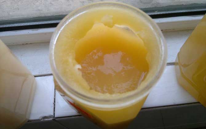 假蜂蜜的特點(diǎn)有哪些?除了外觀和口感,能不能結(jié)晶也是重要特征! 蜂蜜