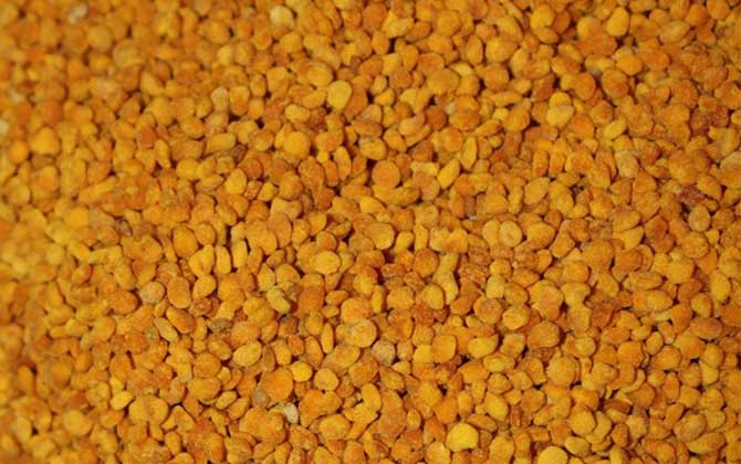 茶花粉的功效與作用有哪些?經(jīng)常吃些茶花粉,這6個(gè)好處跑不了! 茶花粉