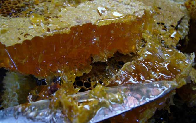 蜂巢蜜和土蜂蜜哪個(gè)好?并沒有定論,實(shí)際上土蜂也能釀制蜂巢蜜! 土蜂蜜