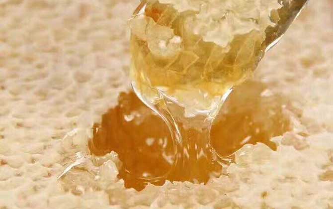 蜂巢蜜和土蜂蜜哪個(gè)好?并沒有定論,實(shí)際上土蜂也能釀制蜂巢蜜! 蜂巢蜜