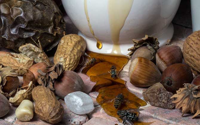 蜂蜜會過期嗎?會變質嗎?蜂蜜沒有保質期,但保存不當也易變質! 蜂蜜