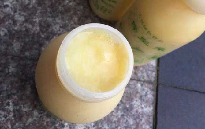蜂王漿的保質(zhì)期是多久?常溫下3天就會變質(zhì),冷凍后能保存兩年! 蜂王漿