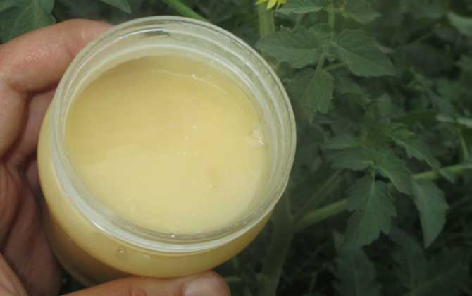 天天喝蜂蜜會(huì)不會(huì)發(fā)胖?看食用量,適量能減肥,過(guò)量越喝越胖! 蜂蜜