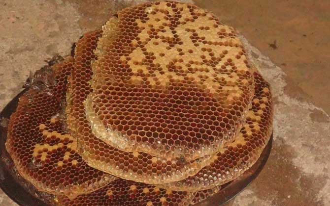 糖尿病人能吃蜂蜜嗎?關(guān)鍵看血糖,若血糖控制住了也能喝蜂蜜! 蜂蜜