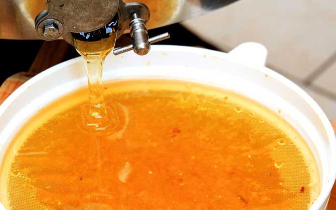 孕婦可以喝蜂蜜嗎?肯定能喝,經常喝對自身和胎兒都大有好處! 蜂蜜