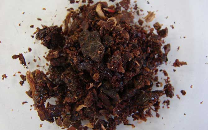 蜂膠傷肝是怎么回事?正確服用能保肝,食用不當反而損傷肝臟! 蜂膠