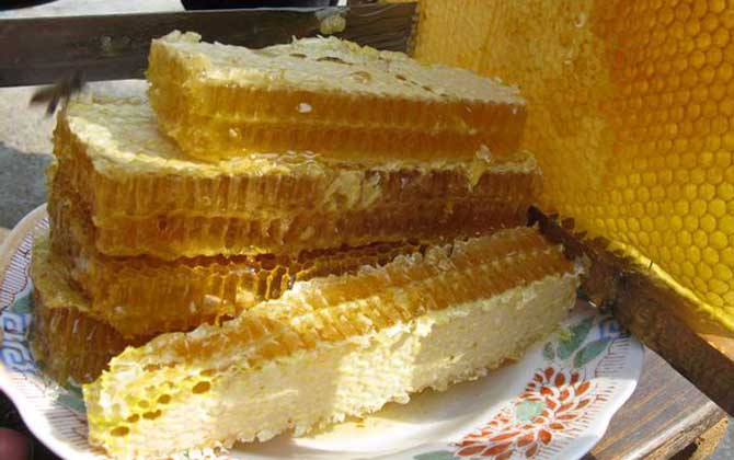 長期吃蜂巢的危害有哪些?容易發生過敏,還容易引起消化不良! 蜂巢