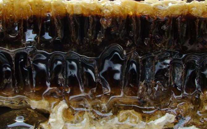 老蜂巢治療鼻炎怎么吃?小火熬成蜂巢水,內服和外用均有效! 老蜂巢