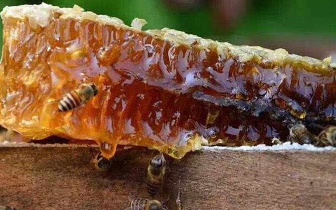 蜂巢治療鼻炎的用法,一般都是煮水,但一定要注意禁忌人群! 蜂巢