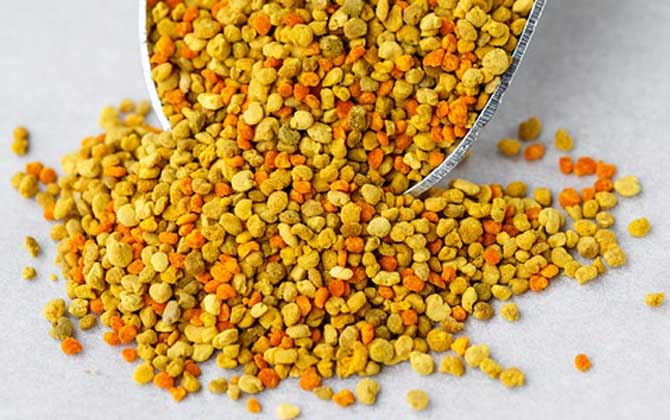 女人吃花粉的好處和壞處,適量吃對健康有益,過量吃反而有害! 花粉