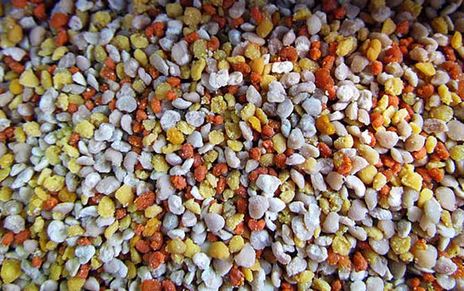 花粉的正確食用方法,絕對(duì)不能過(guò)量食用,還要注意禁忌人群! 花粉