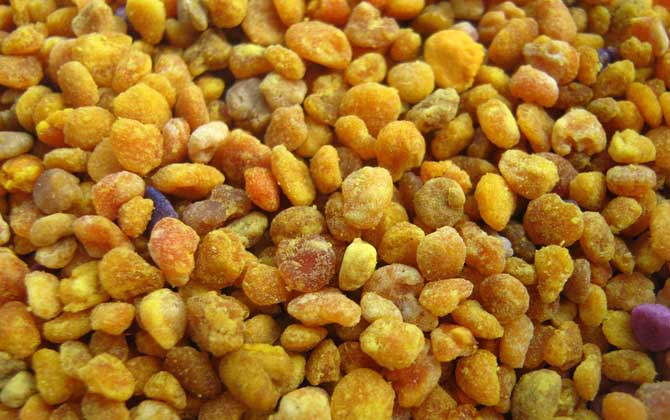 花粉的正確食用方法,絕對(duì)不能過(guò)量食用,還要注意禁忌人群! 花粉