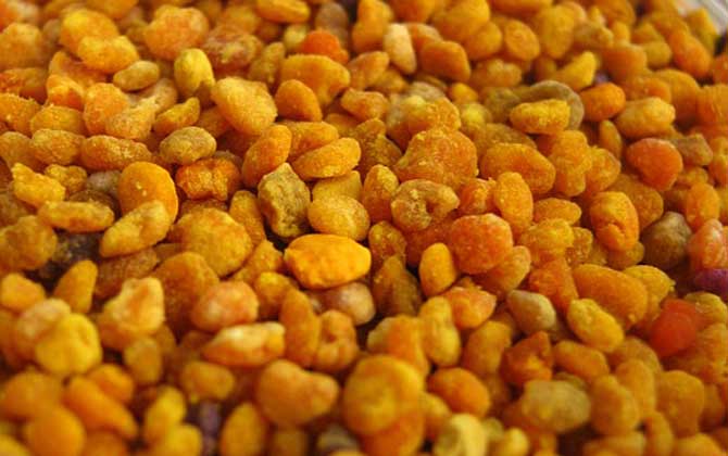 花粉的正確食用方法,絕對(duì)不能過(guò)量食用,還要注意禁忌人群! 花粉