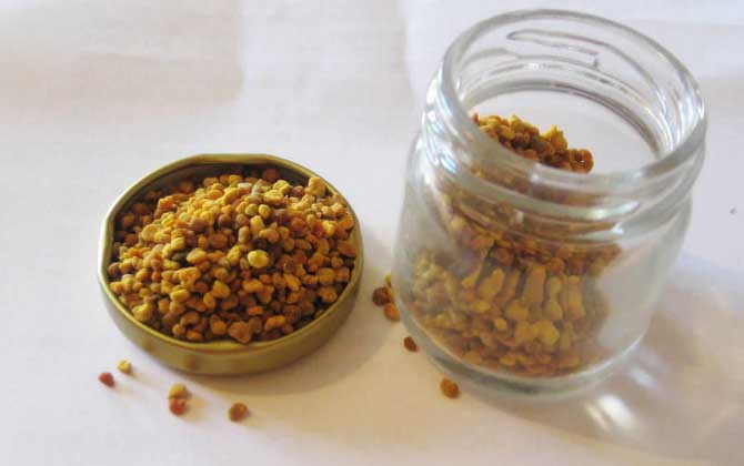 花粉的正確食用方法,絕對(duì)不能過(guò)量食用,還要注意禁忌人群! 花粉