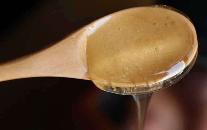 紫云英蜂蜜價格多少錢一斤? 紫云英蜂蜜