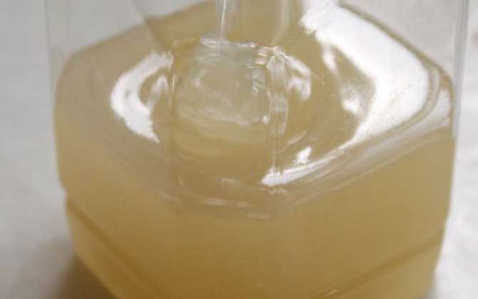 蜂蜜茶的功效與作用及簡單做法 蜂蜜