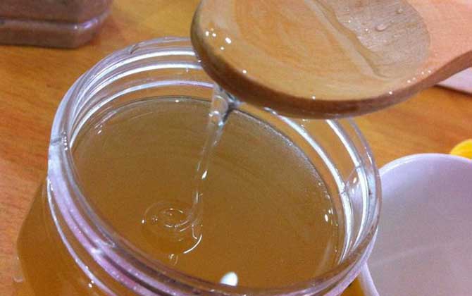 生姜蜂蜜水的功效與作用及禁忌人群 蜂蜜