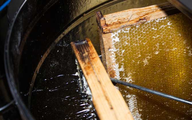 蜂蜜祛痘最有效的方法 蜂蜜