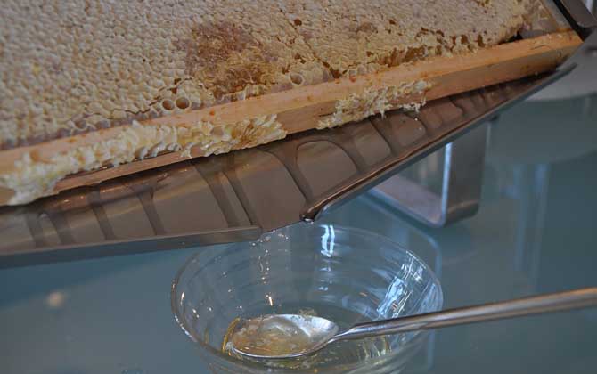 蜂蜜祛痘最有效的方法 蜂蜜