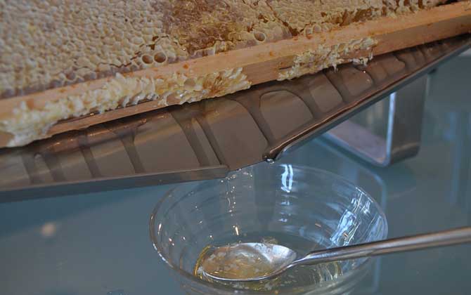 喝蜂蜜為什么有減肥效果? 蜂蜜