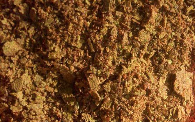 蜂膠適宜什么人群吃? 蜂膠