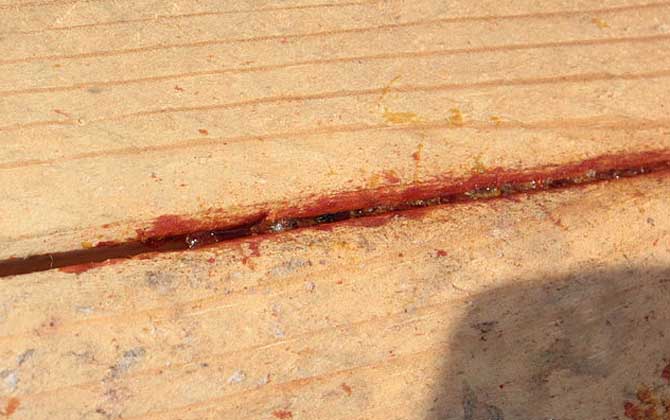 蜂膠含有哪些營(yíng)養(yǎng)成分? 蜂膠