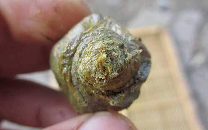 假蜂膠是怎么做出來的? 蜂膠