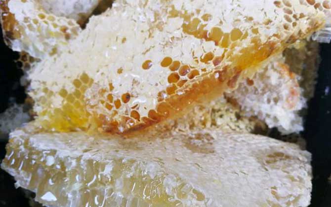 蜂巢和巢蜜的區別 蜂巢