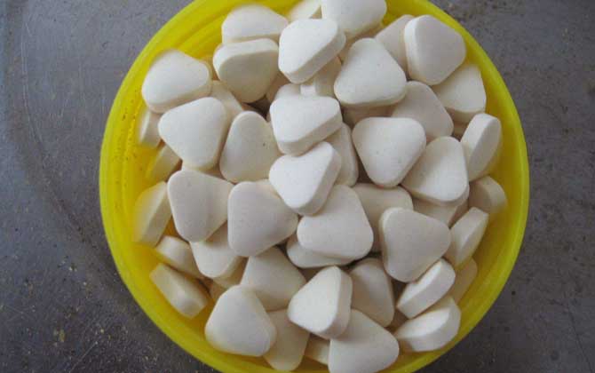 蜂王胎的副作用及禁忌人群 蜂王胎