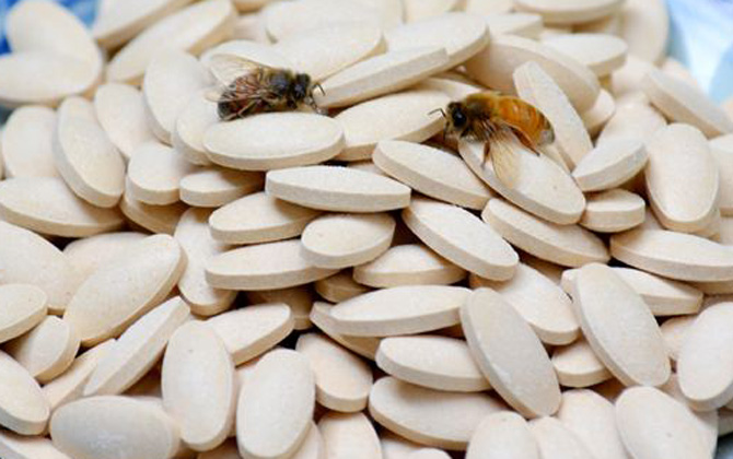 蜂王胎的正確吃法 蜂王胎