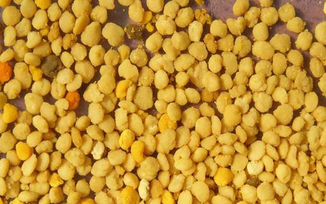 最新蜂花粉價格多少錢一斤? 蜂花粉