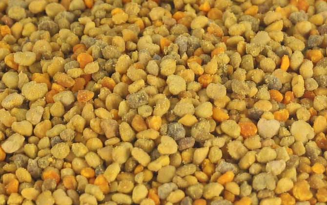 花粉的功效與作用及食用方法 花粉