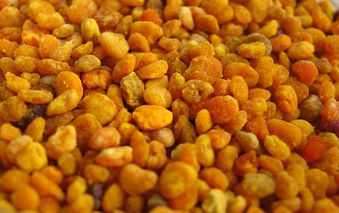 蜂花粉由哪些成分組成的? 蜂花粉