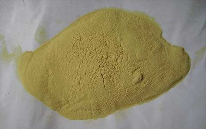 松花粉什么時(shí)候吃最有效? 松花粉