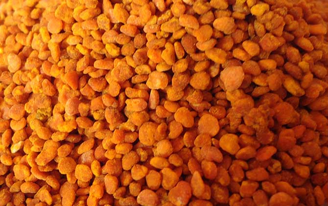 荷花粉和茶花粉的區別 茶花粉