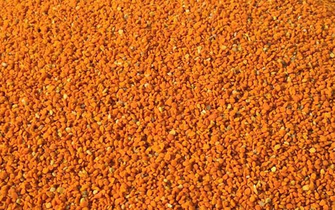 茶花粉和蜂蜜怎么喝最好? 茶花粉