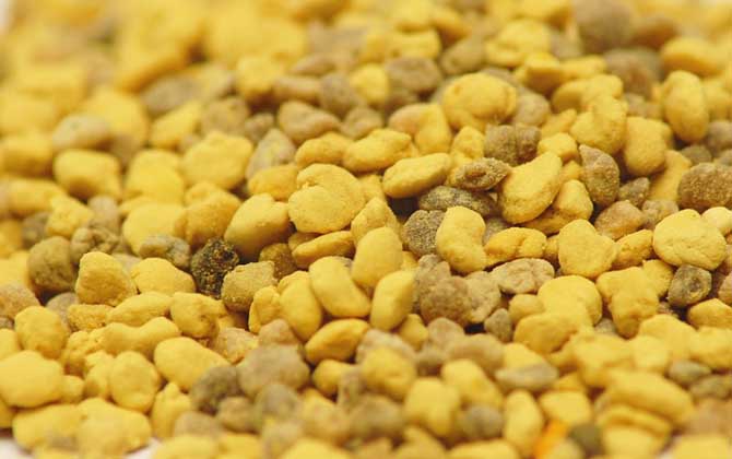 什么人群不適合吃花粉? 花粉