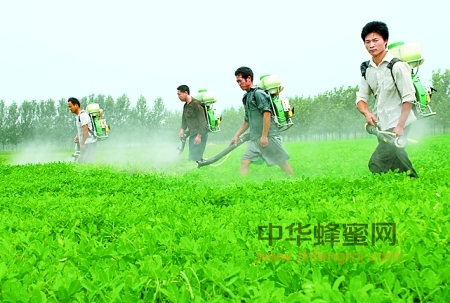 蜂產(chǎn)品 抗生素 農(nóng)藥 蜂產(chǎn)品 抗生素 農(nóng)藥